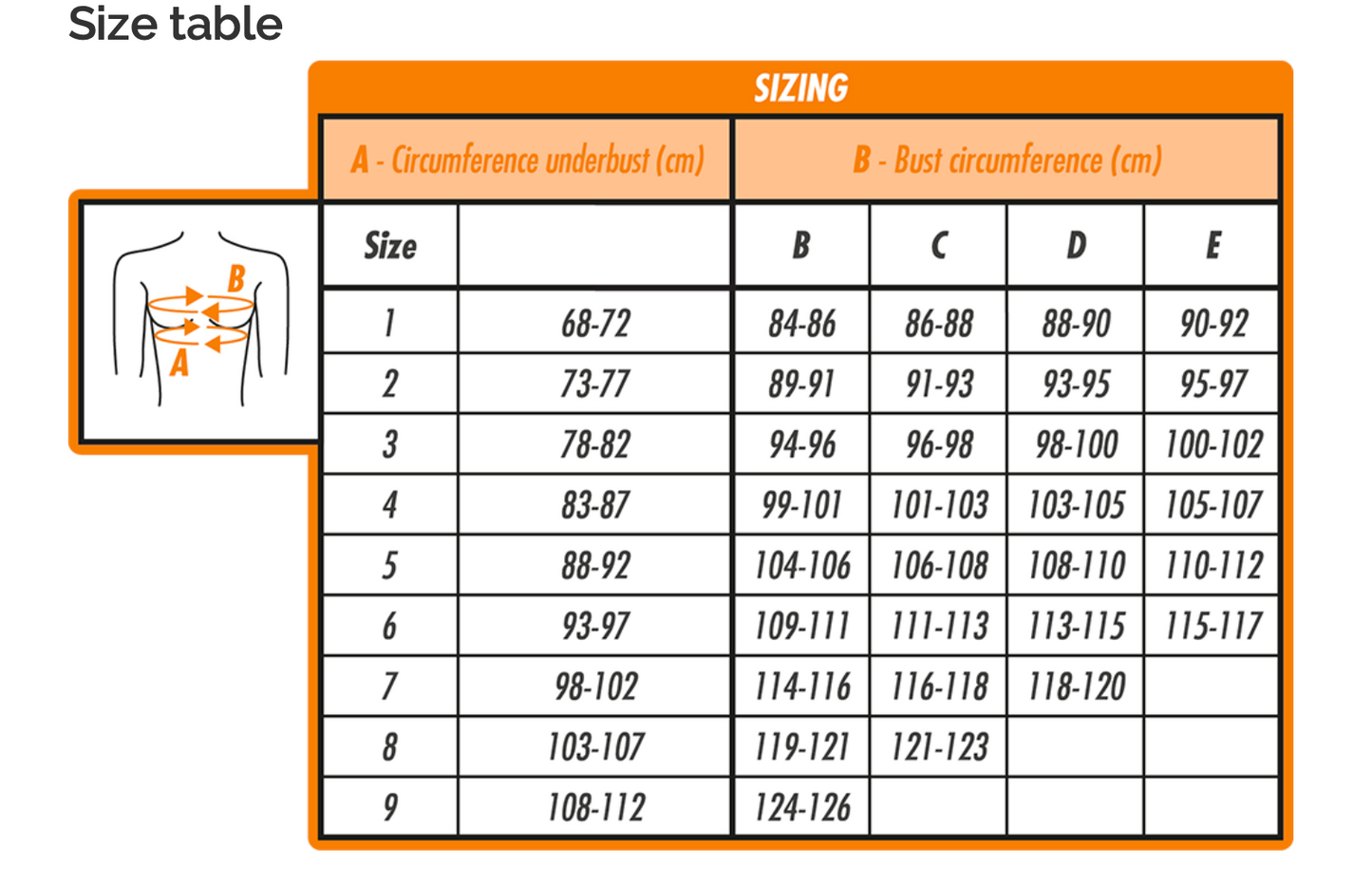 REGGISENO POSTURAL