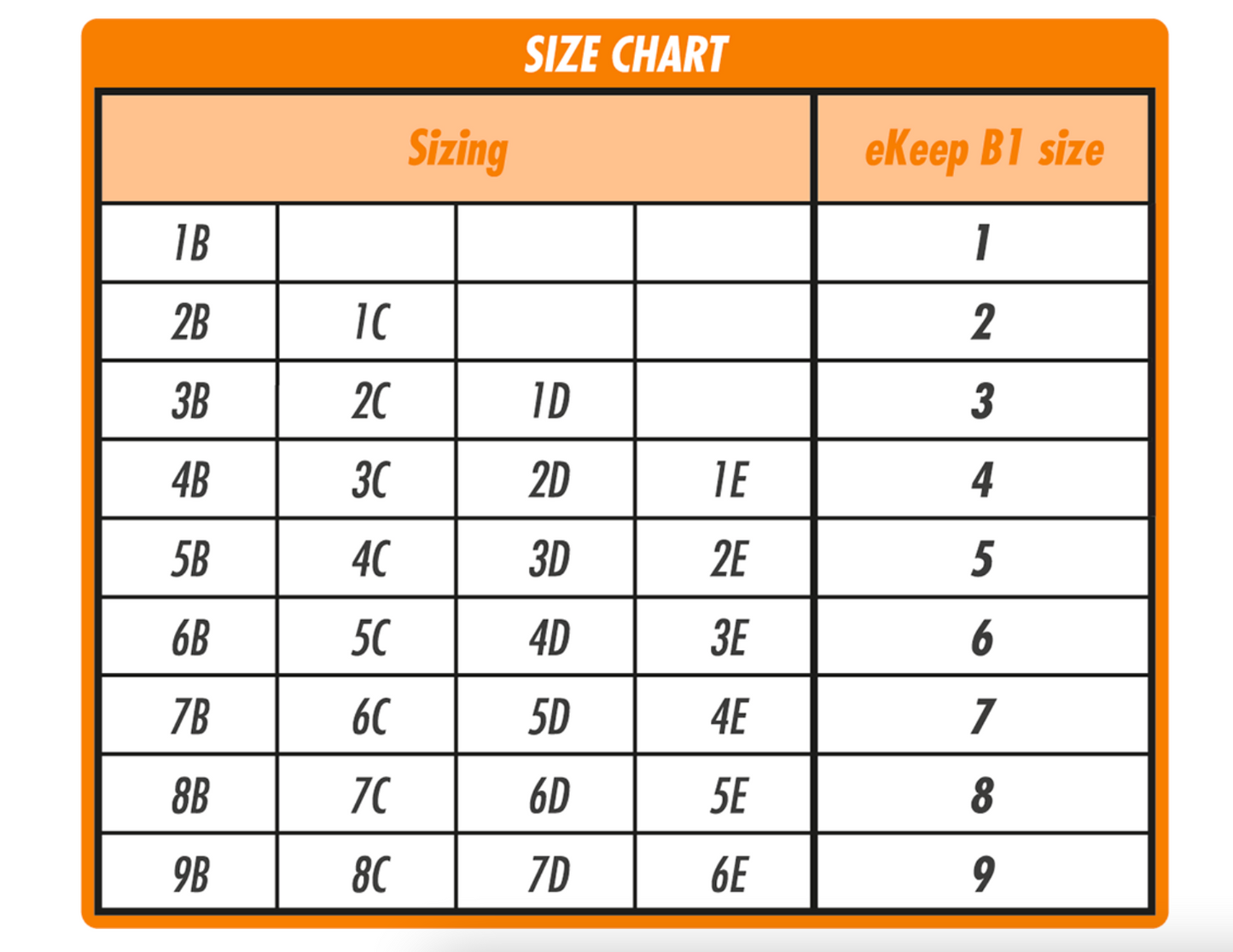 REGGISENO POSTURAL